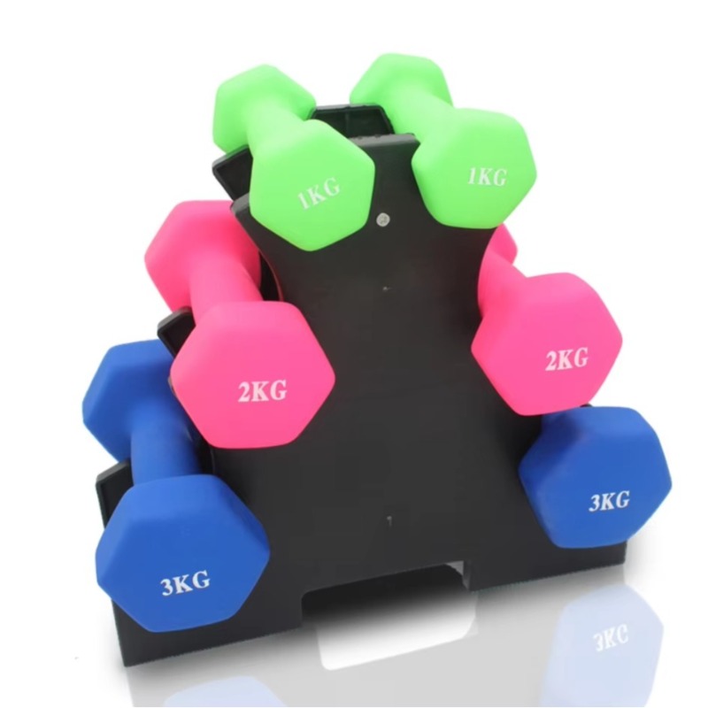 Support de rangement pour halt - Home Gym Weight avis et prix