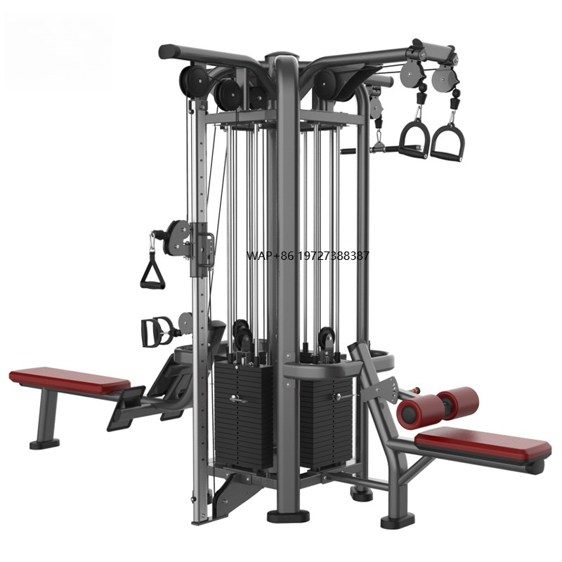 Équipement d'entraînement musc - Home Gym Workout avis et prix