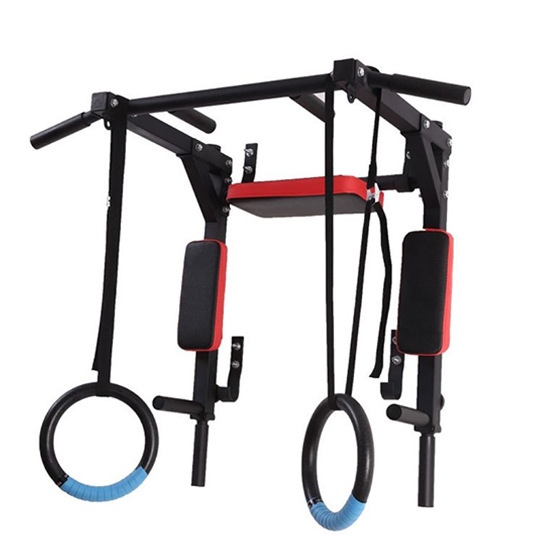 Barre de traction et de muscul - Home Gym Wall avis et prix